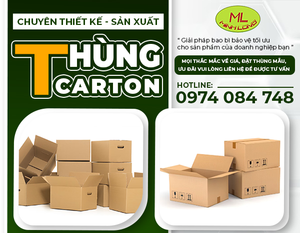 CÔNG TY TNHH MỘT THÀNH VIÊN THƯƠNG MẠI DỊCH VỤ SẢN XUẤT BAO BÌ MINH LONG